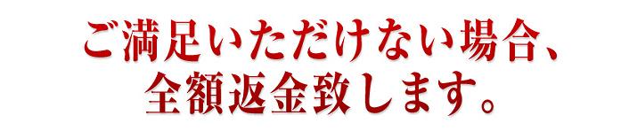�W���W�����t�g�@�ь�
